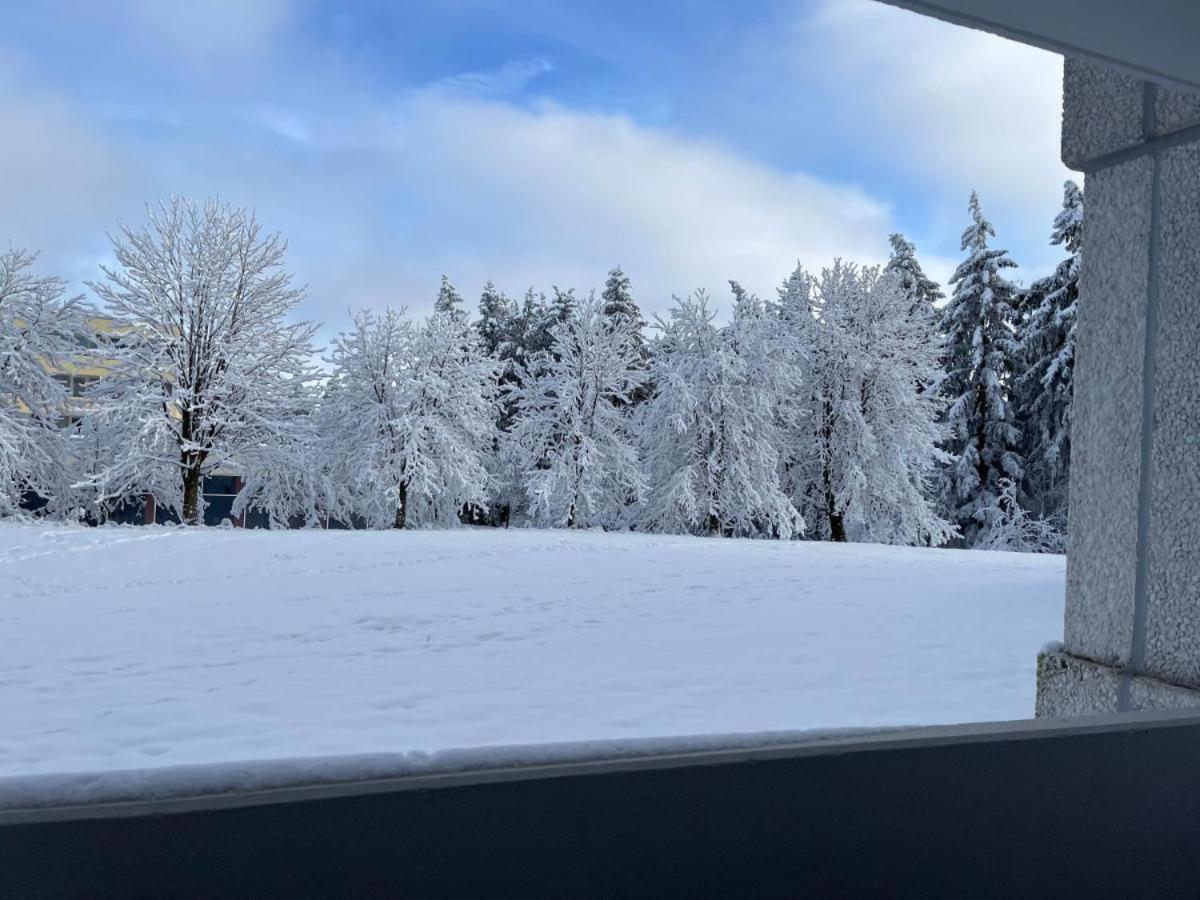 Ferienwohnung Auenglueck Hahnenklee Harz Goslar Exterior foto